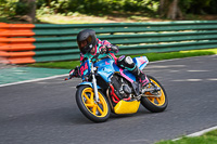 cadwell-no-limits-trackday;cadwell-park;cadwell-park-photographs;cadwell-trackday-photographs;enduro-digital-images;event-digital-images;eventdigitalimages;no-limits-trackdays;peter-wileman-photography;racing-digital-images;trackday-digital-images;trackday-photos